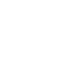 Light-Logo-icon